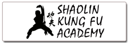 Shaolin Kung Fu Academy